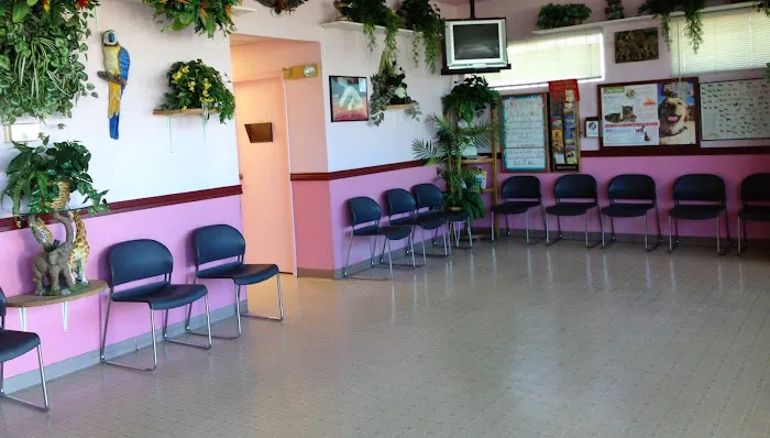 Santis Pet Clinic Picture 5