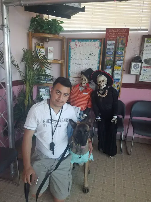 Santis Pet Clinic Picture 7