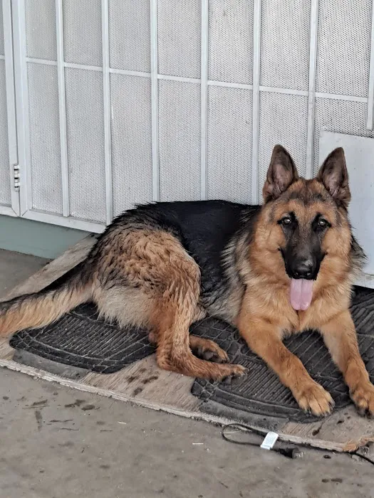 Santis Pet Clinic Picture 8