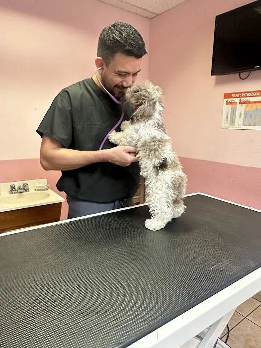Santis Pet Clinic Picture 9