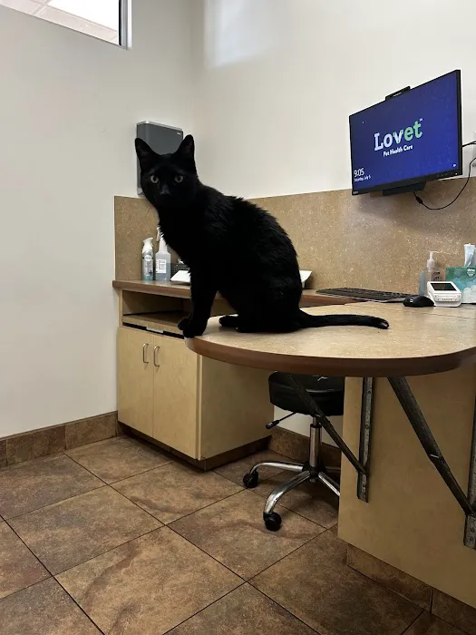 Lovet Pet Health Care - Madison Picture 2
