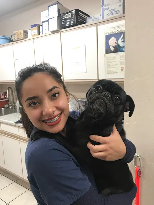 Orangewood Animal Hospital - Now Palo Verde Animal Hospital Picture 3