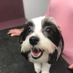Orangewood Animal Hospital - Now Palo Verde Animal Hospital