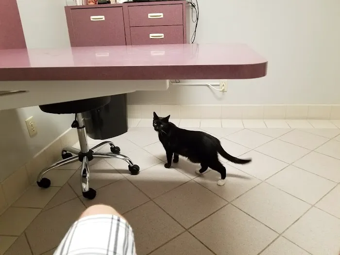 Palo Verde Animal Hospital Picture 7