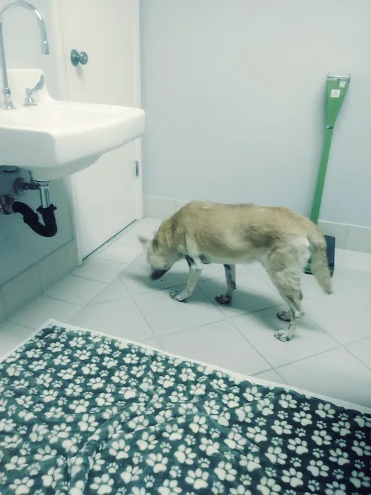 Palo Verde Animal Hospital Picture 5