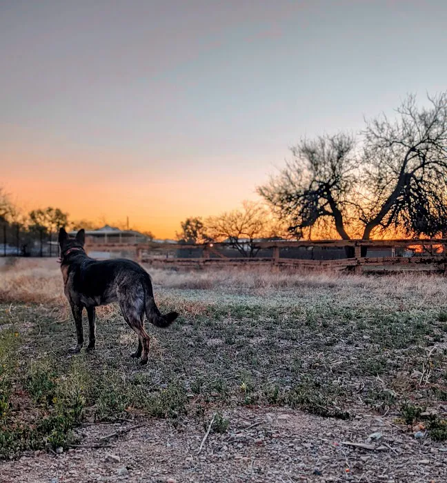 Tolleson Animal Clinic Picture 7