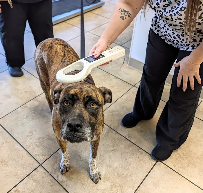 Tolleson Animal Clinic Picture 2