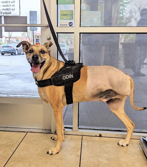 Tolleson Animal Clinic Picture 9