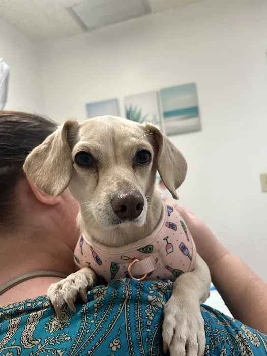West Phoenix Veterinary Hospital Picture 1
