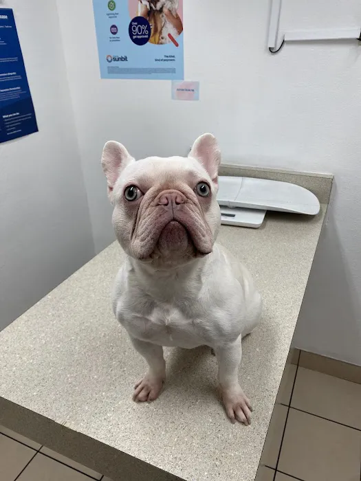 West Phoenix Veterinary Hospital Picture 3