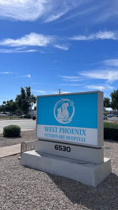 West Phoenix Veterinary Hospital Picture 5