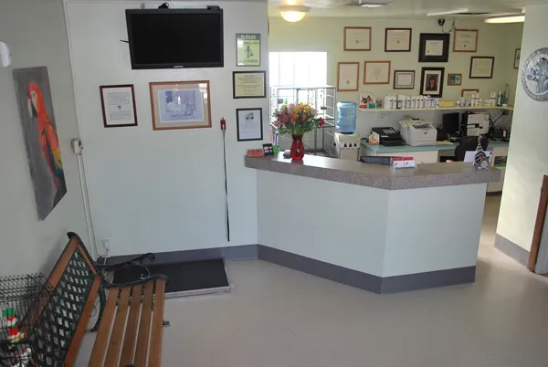 North Central Animal Hospital Picture 1