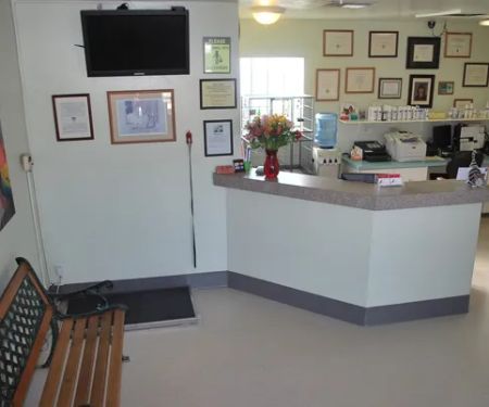 North Central Animal Hospital