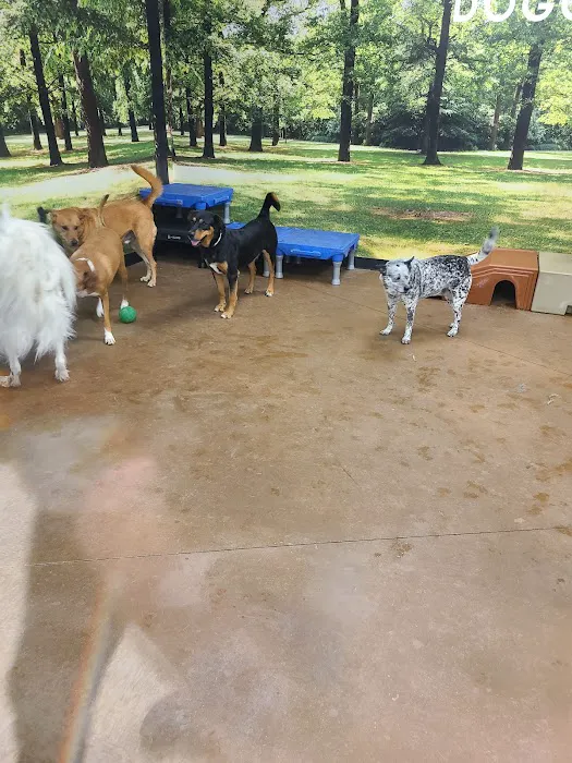 Banfield Pet Hospital Picture 2