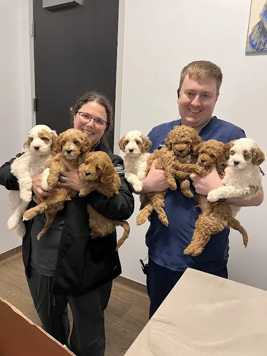 Queen Creek Veterinary Clinic Picture 3