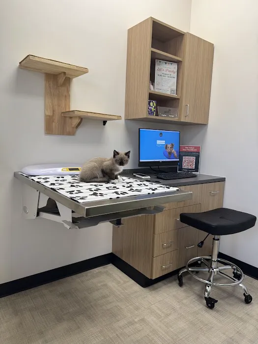 CityVet | Queen Creek Picture 4