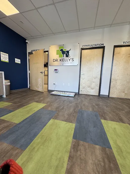 Dr. Kelly's Surgical Unit - Queen Creek Picture 2