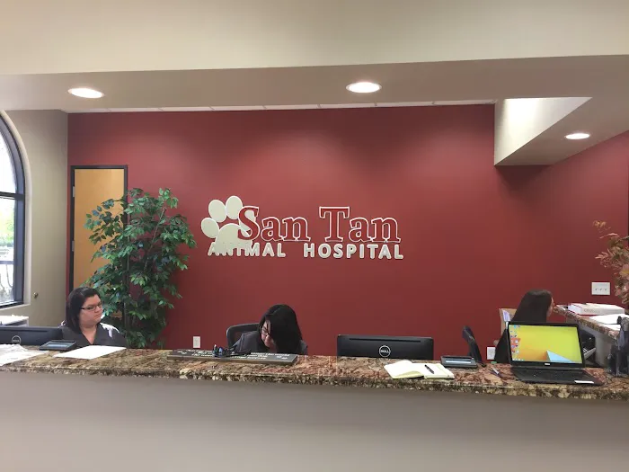 San Tan Animal Hospital Picture 4