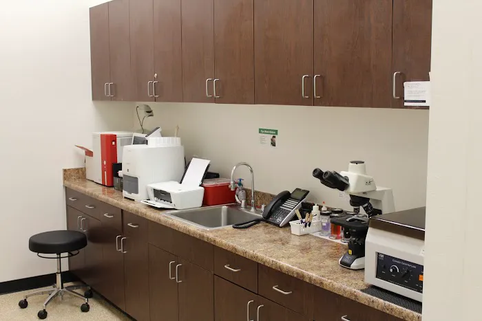 San Tan Animal Hospital Picture 6