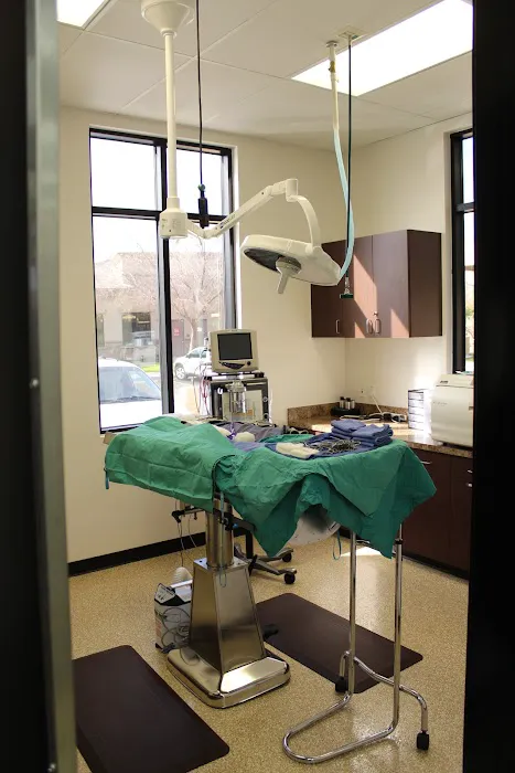 San Tan Animal Hospital Picture 2
