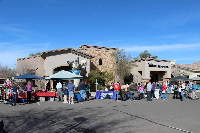 San Tan Animal Hospital Picture 9
