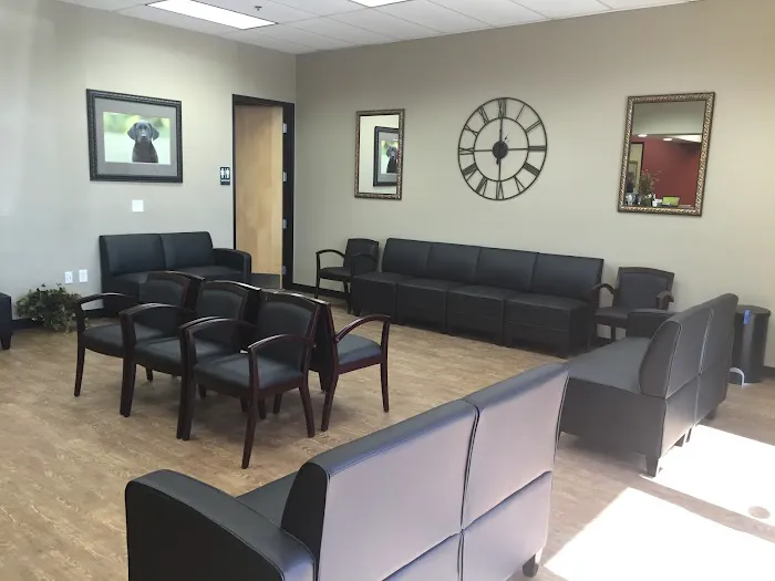 San Tan Animal Hospital Picture 8