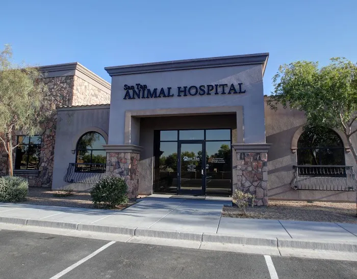 San Tan Animal Hospital Picture 3