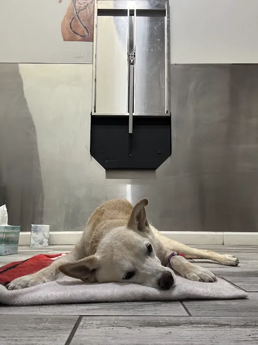 Compassionate Animal Care Picture 4