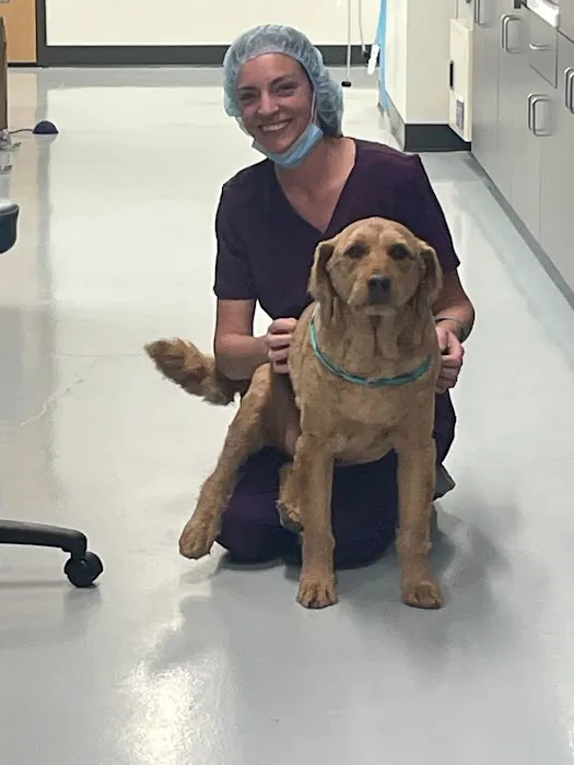 Revel Vet Picture 5