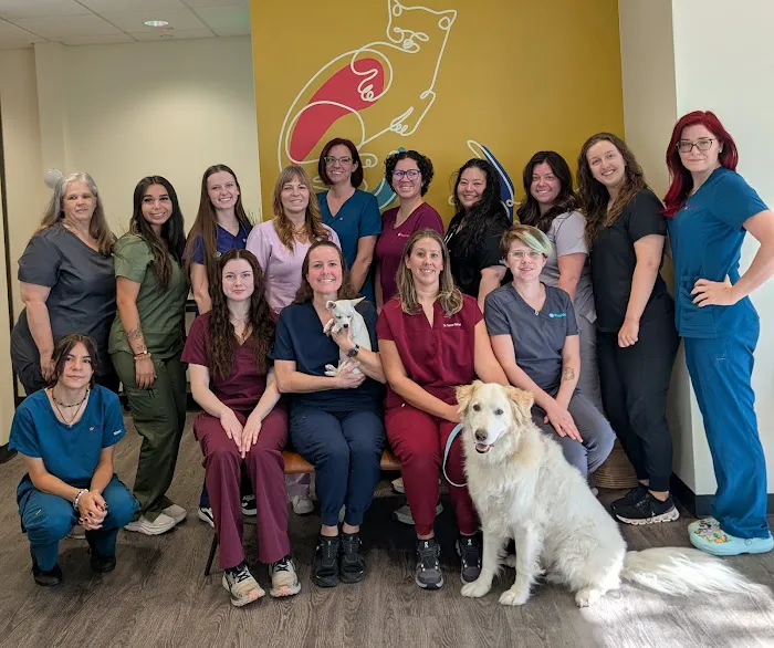 Revel Vet Picture 2