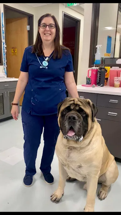 Revel Vet Picture 10