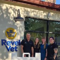 Dermatology for Animals - Queen Creek ico