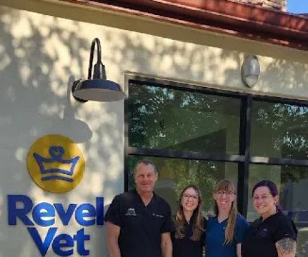 Dermatology for Animals - Queen Creek