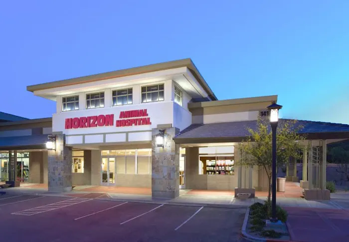 Horizon Animal Hospital Picture 1