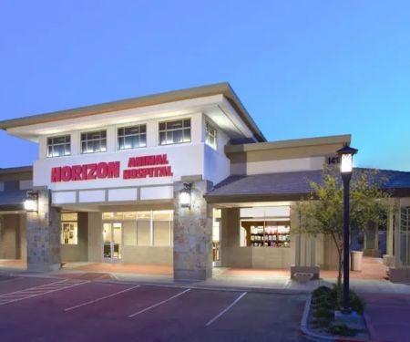 Horizon Animal Hospital