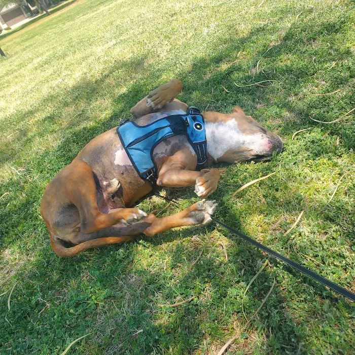 Horizon Animal Hospital Picture 9