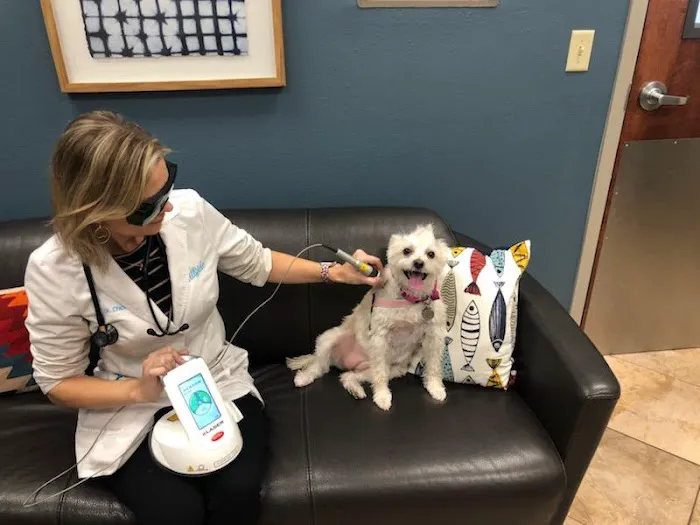 Hillside Animal Hospital Picture 9