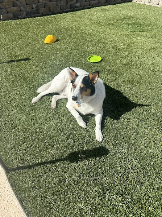 Banfield Pet Hospital Picture 9