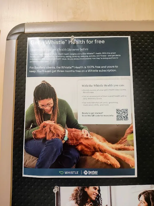 Banfield Pet Hospital Picture 1