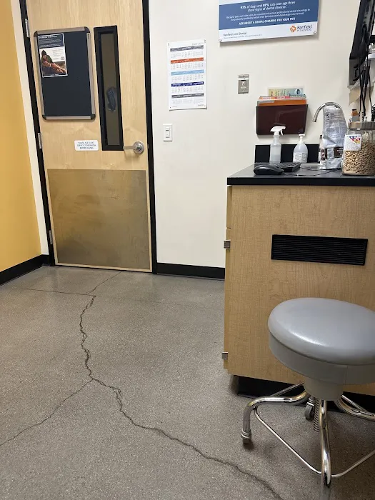 Banfield Pet Hospital Picture 6