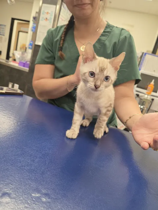 Banfield Pet Hospital Picture 7