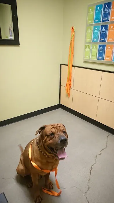Banfield Pet Hospital Picture 3