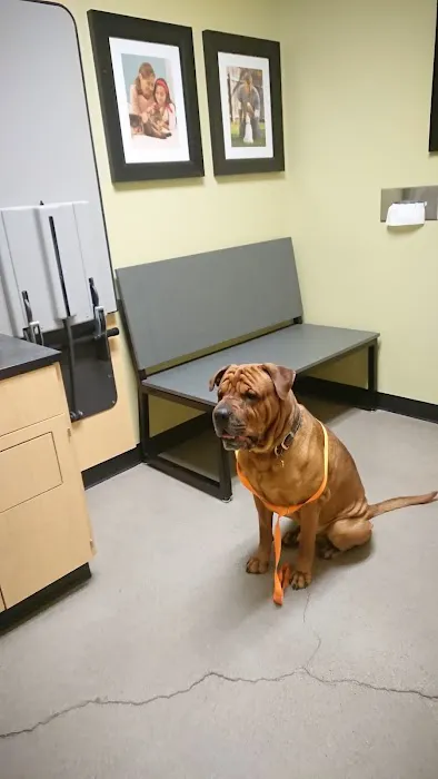 Banfield Pet Hospital Picture 4