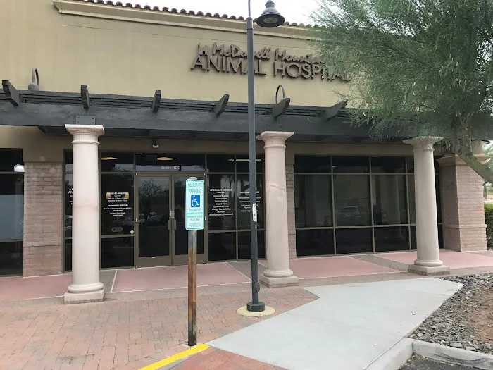 McDowell Mountain Animal Hospital Picture 2