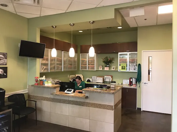 McDowell Mountain Animal Hospital Picture 4