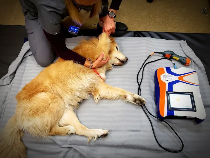 Canine Wellness Center Picture 9