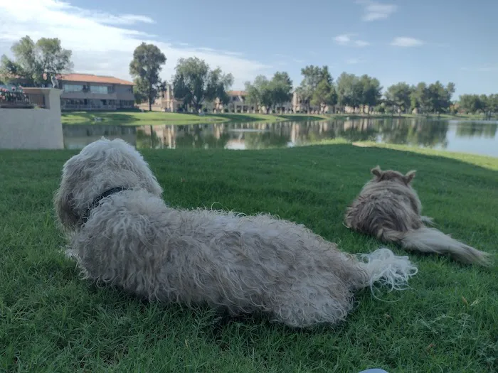 North Scottsdale Animal Hospital Picture 4