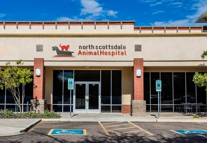 North Scottsdale Animal Hospital Picture 5