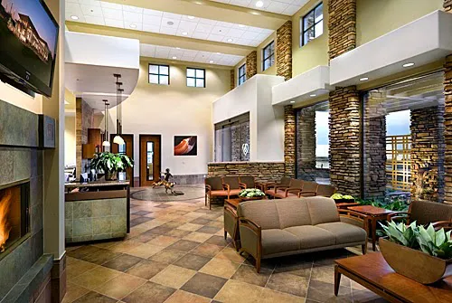 Thrive Pet Healthcare Specialists North Scottsdale Picture 4