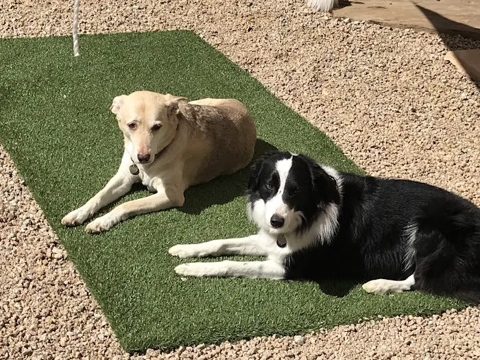 Four Legged Friends Animal Hospital Picture 8